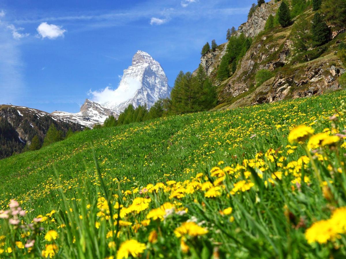 Apartment Fis By Interhome Zermatt Exterior photo